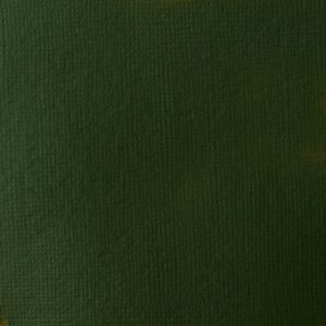 Liquitex Basics Acrylfarbe 118ml hookers grün permanent