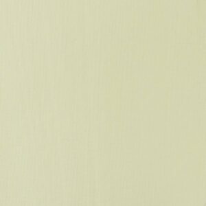 Liquitex Basics Acrylfarbe 118ml pergament