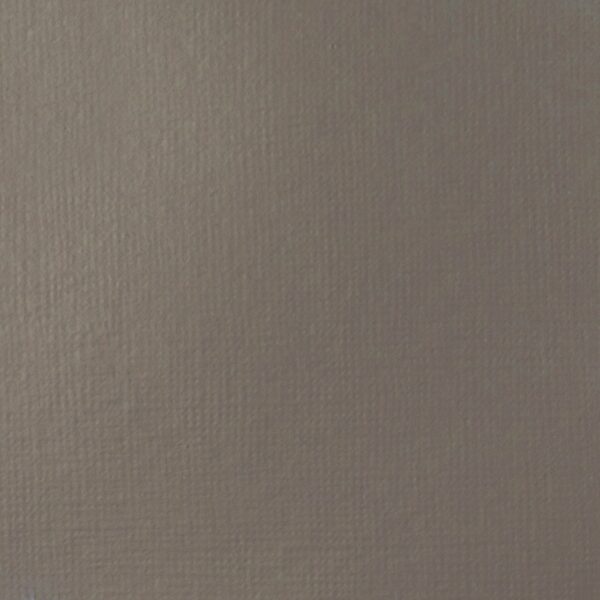 Liquitex Basics Acrylfarbe 118ml neutralgrau