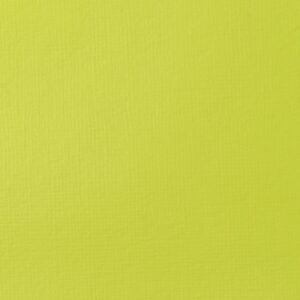 Liquitex Basics Acrylfarbe 118ml gelbgrün brillant