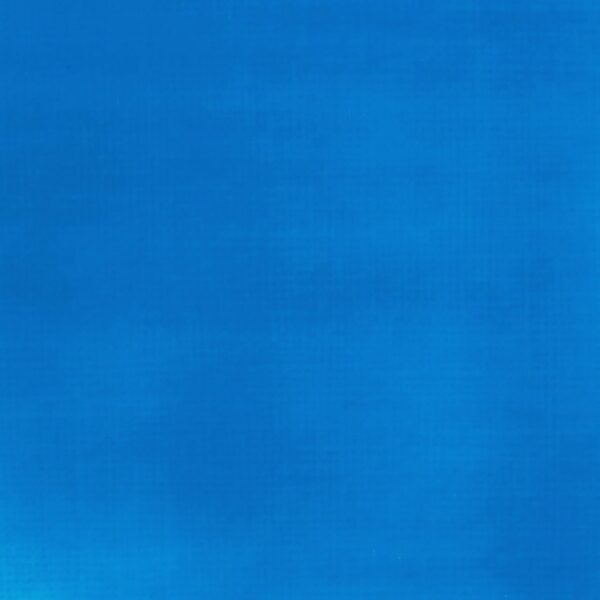 Liquitex Basics Acrylfarbe 118ml blau fluo