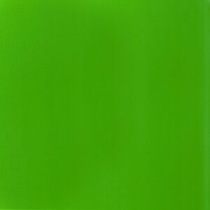 Liquitex Basics Acrylfarbe 118ml grün fluo