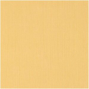 Rico Design Leinenband 11-fädig 20cm mandarine