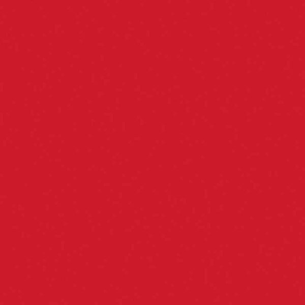folia Fotokarton A4 300g/m² 50 Blatt hochrot