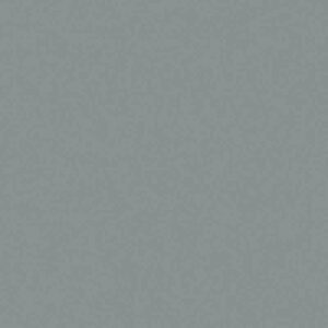 folia Fotokarton A4 300g/m² 50 Blatt steingrau