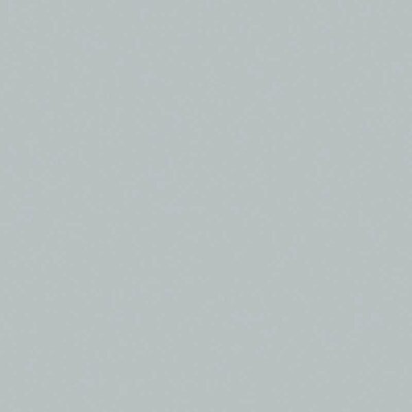 folia Fotokarton A4 300g/m² 50 Blatt silber