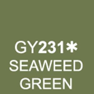 TOUCH Twin Brush Marker Seaweed Green GY231