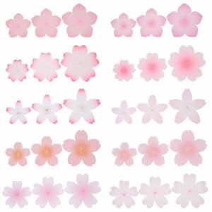 Paper Poetry Papierblüten Luxury Sakura 10-15cm 60 Stück