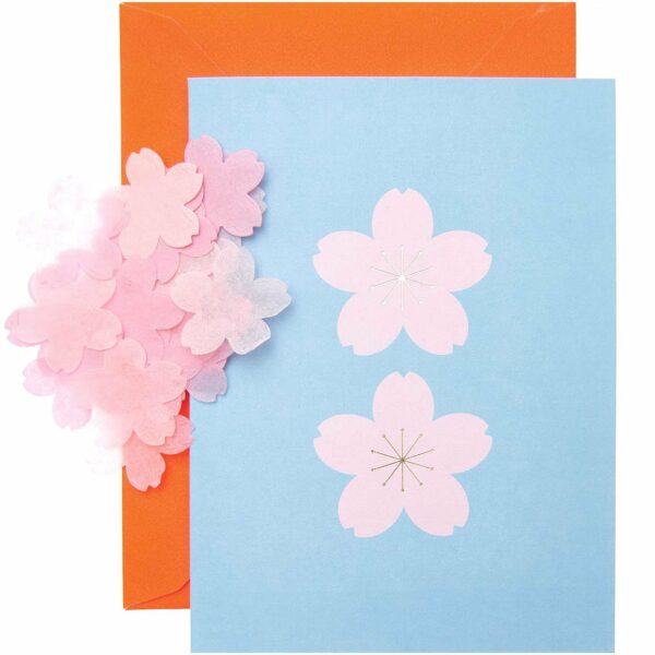Paper Poetry Grußkartenset Kirschblüten hellblau