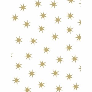 MARPA JANSEN Fotokarton Sterne weiß-gold 50x70cm 300g/m²