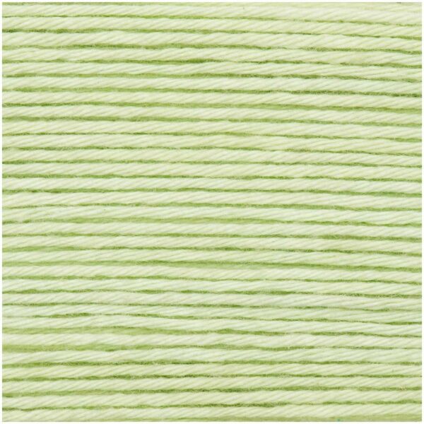 Rico Design Creative Ricorumi dk 25g pastellgrün