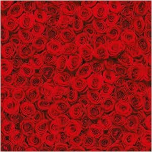 folia Fotokarton Rote Rosen 50x70cm 270g/m²