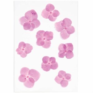 Made by Me Gepresste Blüten Hortensie pink 9 Stück