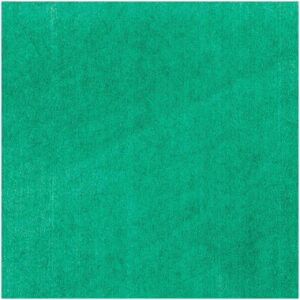 Rico Design Seidenpapier 50x70cm 5 Bogen grün