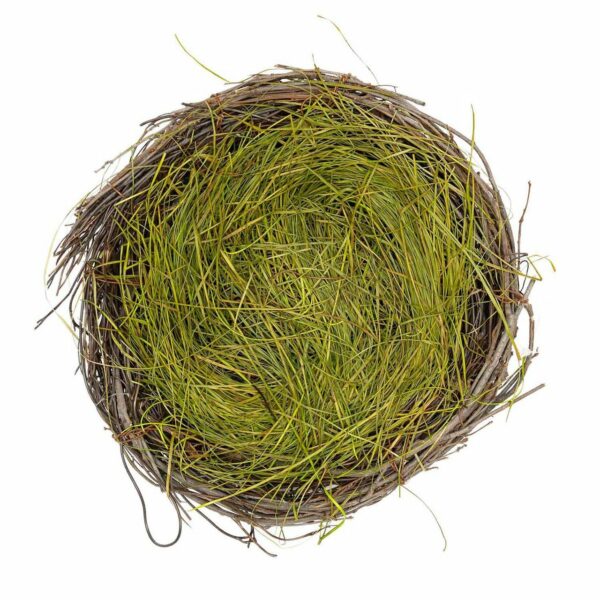 Ohhh! Lovely! Naturnest mit Ostergras 20cm