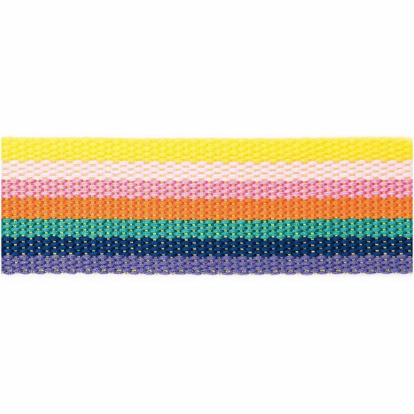Rico Design Gurtband gestreift 40mm 2m rainbow
