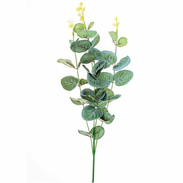 Eukalyptusbusch 40cm