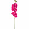 Orchidee Phaleanopsis pink 75cm