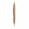 Fasanenfedern natur 30cm