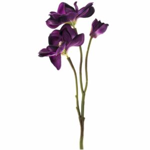 Anemonenzweig violett 41cm