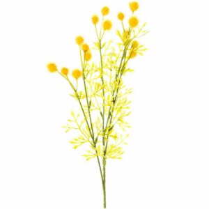 Mimose gelb 70cm