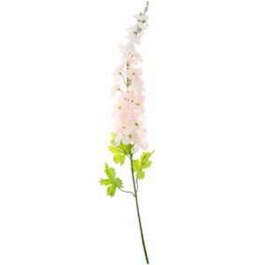 Rittersporn rosa 75cm