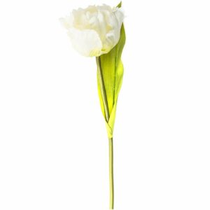 Tulpe weiß 29cm